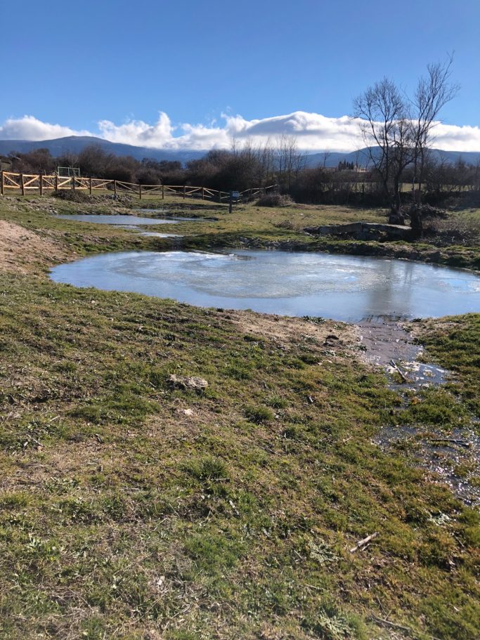Paisaje natural con un estanque y montañas al fondo bajo un cielo despejado.