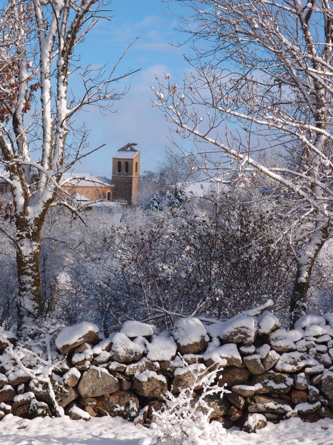Paisaje invernal con árboles cubiertos de nieve y un edificio al fondo.