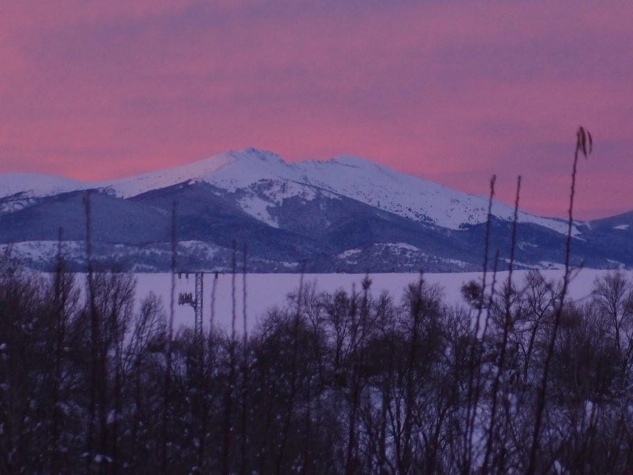 Montañas cubiertas de nieve contra un cielo rosa al atardecer, con vegetación en primer plano.
