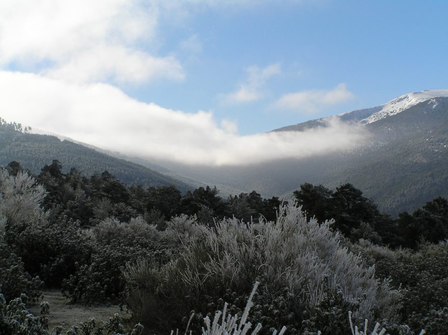 Montañas con nubes bajas y vegetación nevada, bajo un cielo azul despejado.