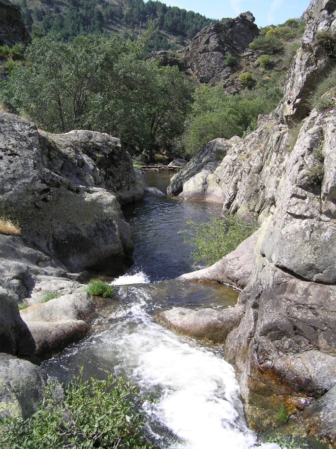 Río rodeado de rocas y vegetación, con agua corriendo entre los estrechos.