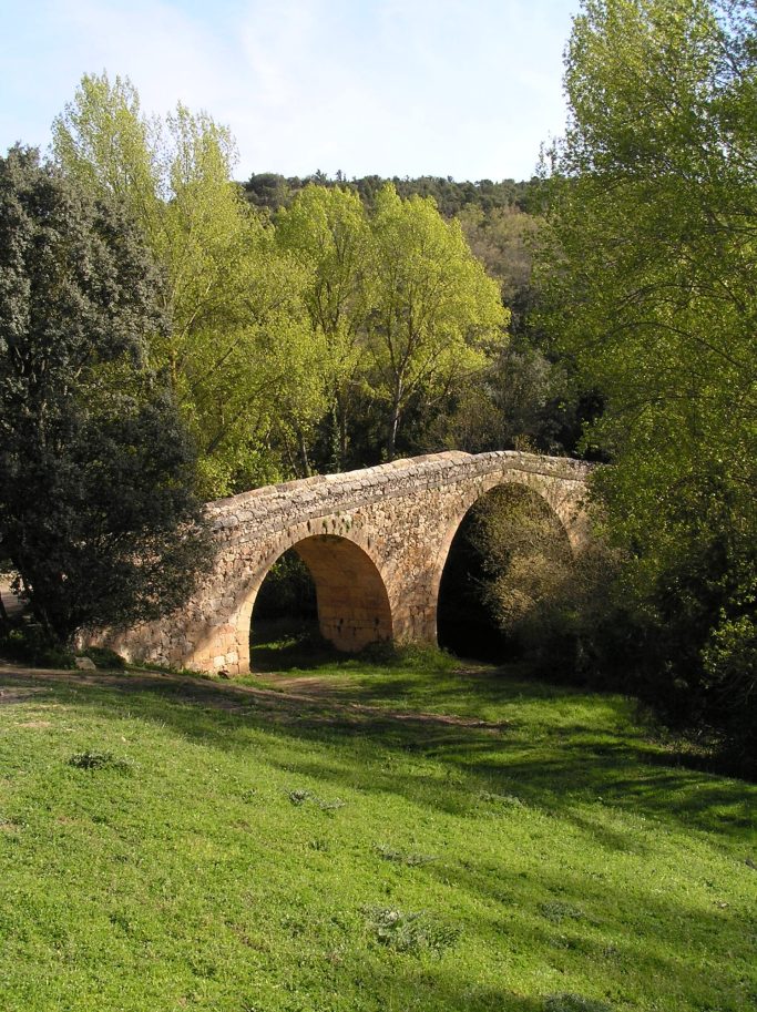 Puente de piedra de dos arcos rodeado de vegetación y árboles verdes.