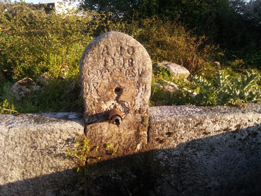 Grifo antiguo de piedra en un entorno natural cubierto de vegetación.