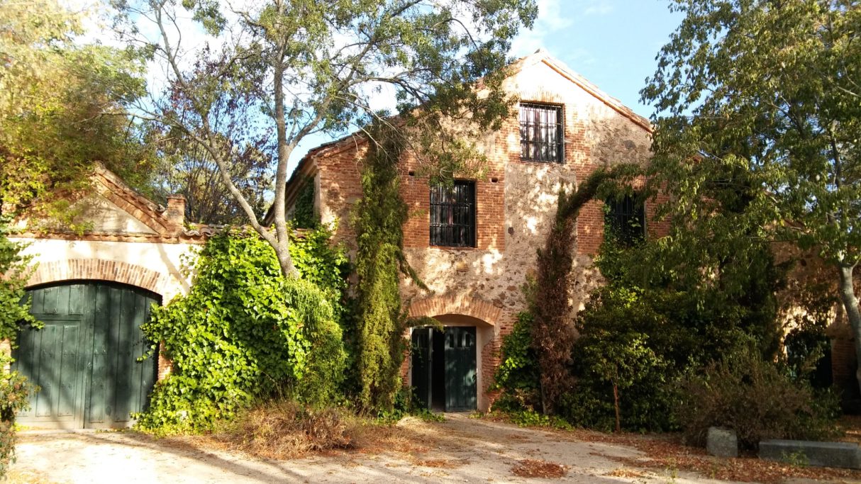 Casa de ladrillo con vegetación alrededor y ventanas negras. Cielo despejado.